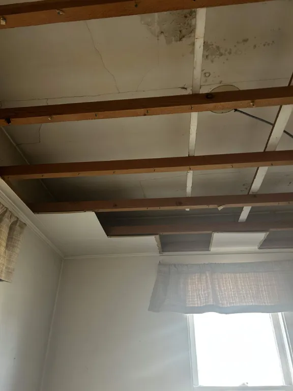 Old plaster ceiling exposed after the drop tile came out