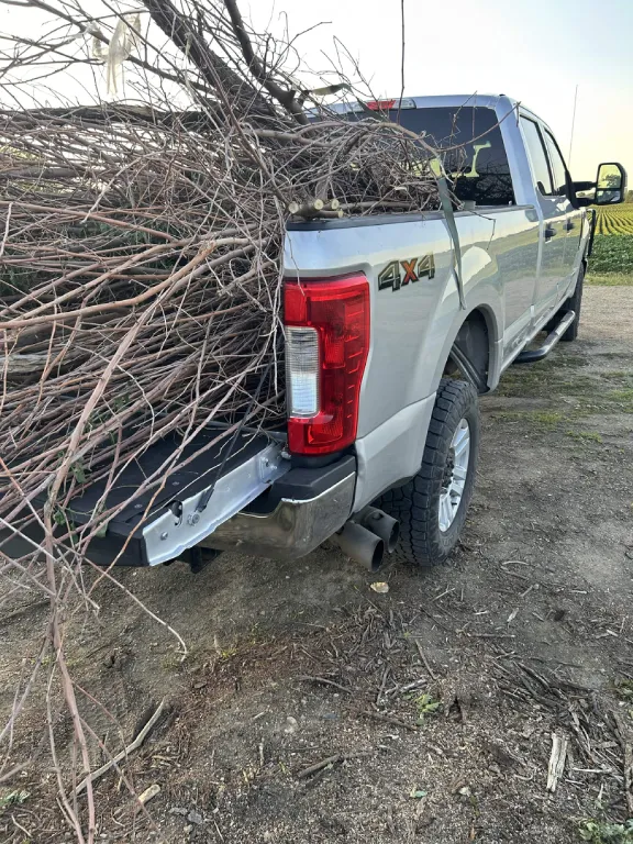 Pickup loaded with brush at the edge of a field