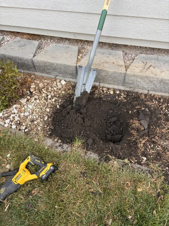 Shrub root ball dug out of the bed